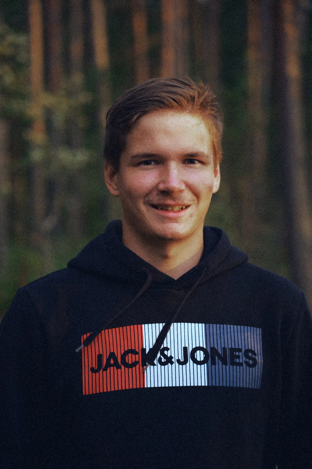Joona Pigg, maalari, Pinturit